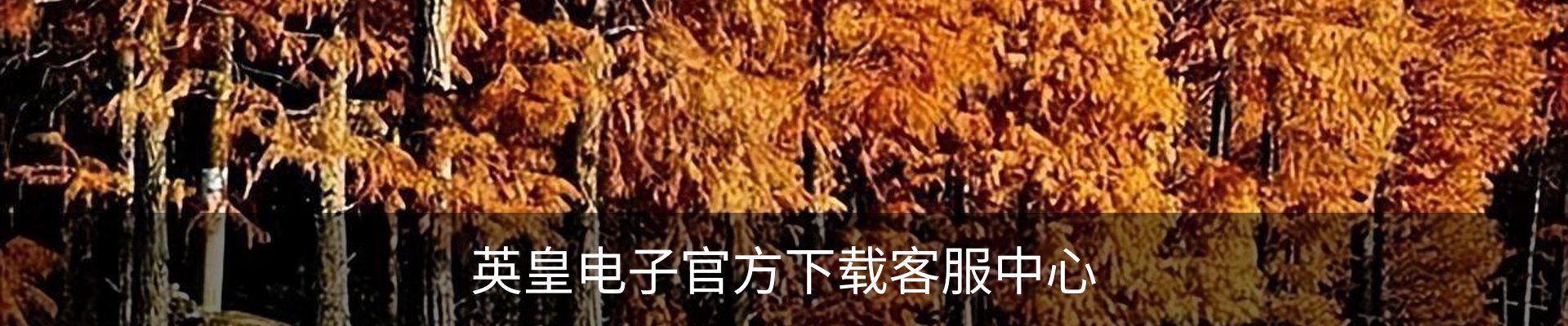 内页banner